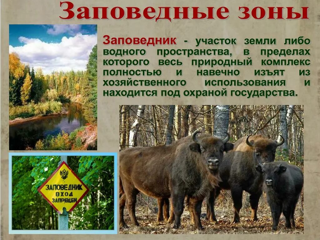 Названия заповедников фото Картинки КАКОЙ ЗАПОВЕДНИК ЗОНЫ ЛЕСОВ