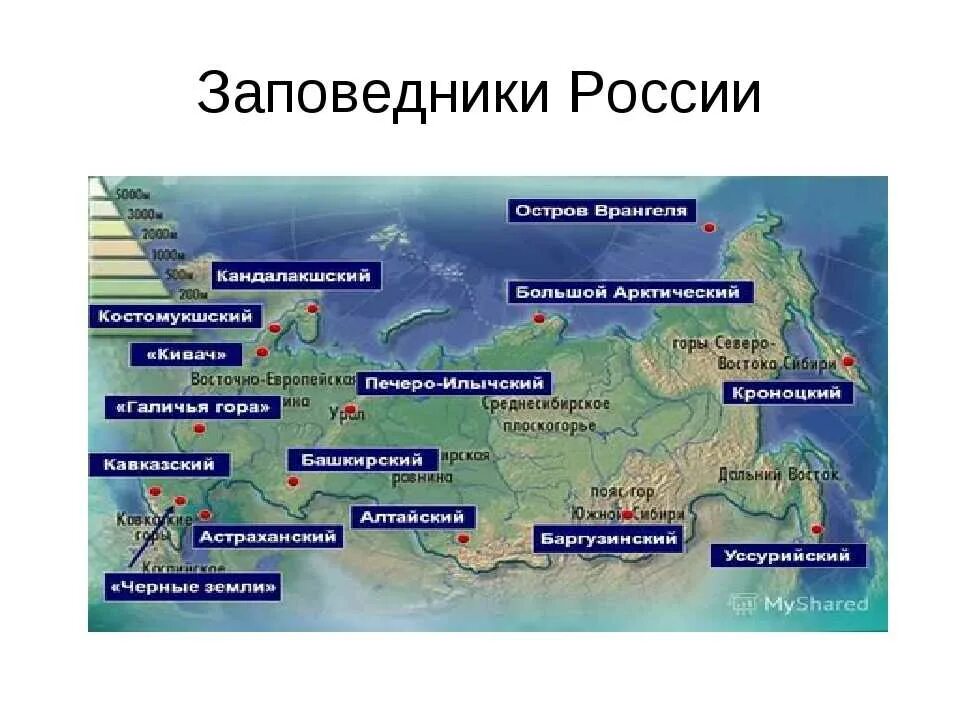 Названия заповедников фото Заказники местоположение