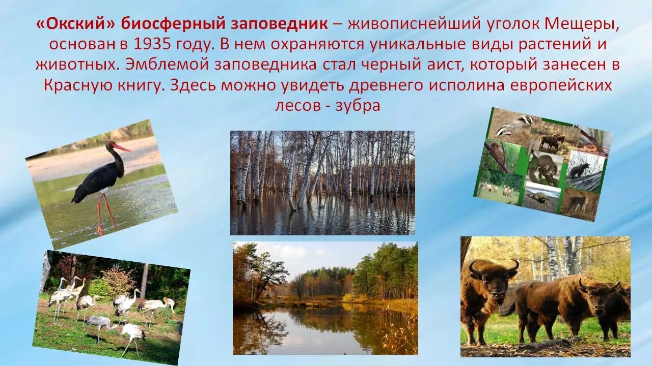Названия заповедников фото Централизованная библиотечная система Новости