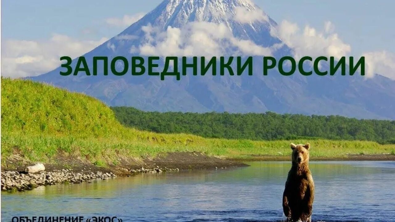 Названия заповедников фото Сохраним природу"-презентация ко Дню заповедников и национальных парков. 2024, В