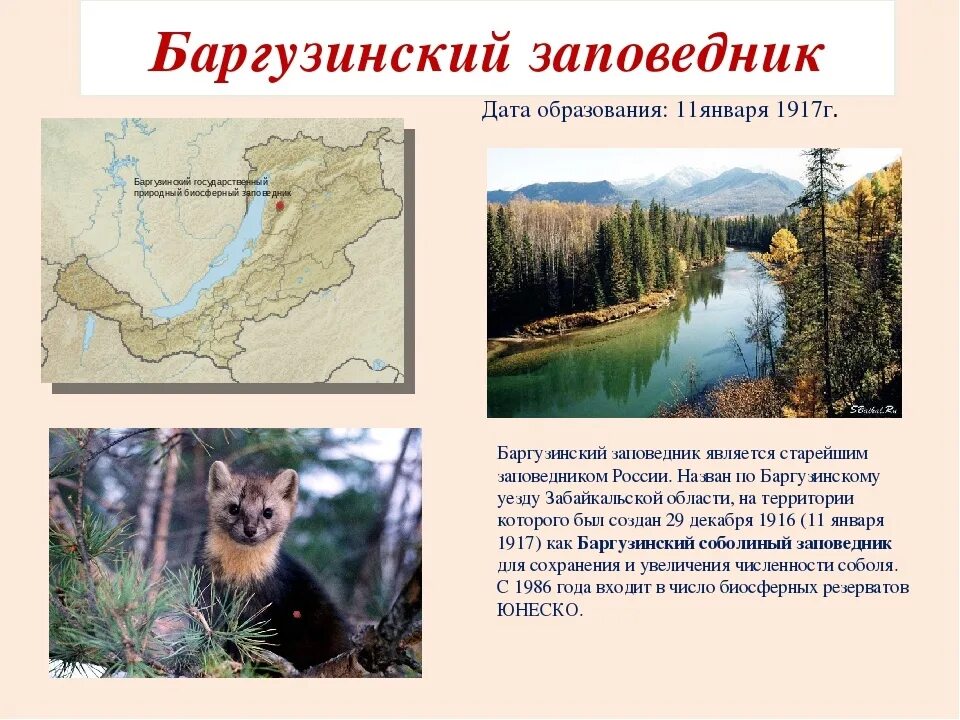Названия заповедников фото Охраняемые территории тайги
