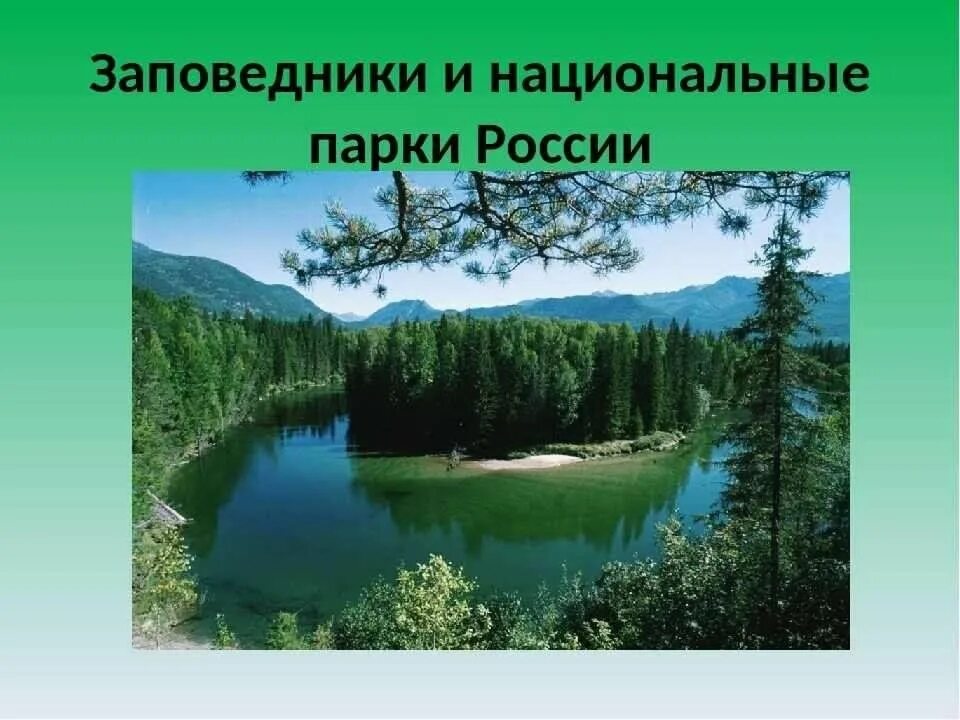 Названия заповедников фото Путешествие по заповедникам нашего края" 2024, Добринский район - дата и место п