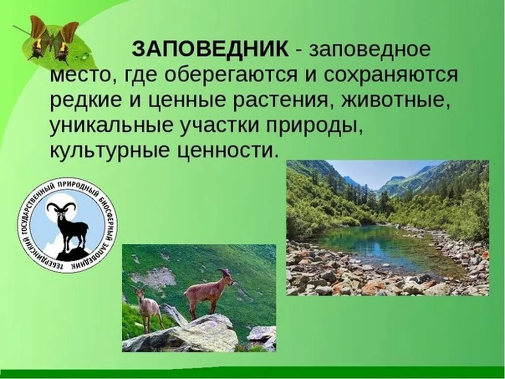 Названия заповедников фото Картинки НА ТЕРРИТОРИИ ГОСУДАРСТВЕННОГО ПРИРОДНОГО ЗАПОВЕДНИКА