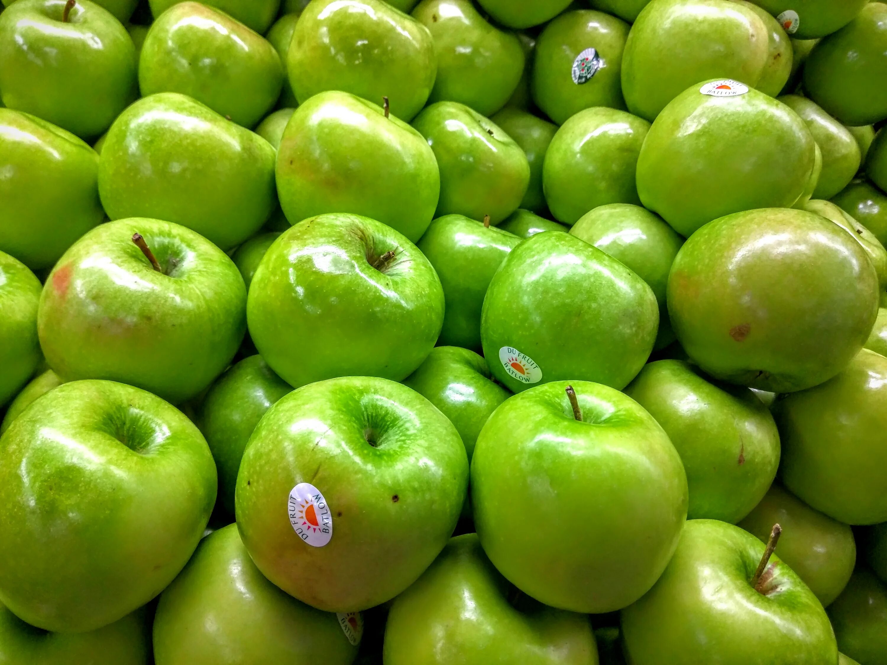 Названия зеленых яблок с фото File:2016-08-28 Green apples.jpg - Wikimedia Commons
