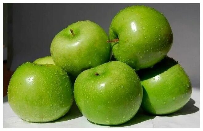 Названия зеленых яблок с фото Яблоко Семеренко (лат. Malus Domestica) семена 15шт - купить по выгодной цене на