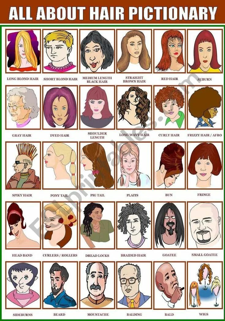 Названия женских причесок на английском ALL ABOUT HAIR PICTIONARY - ESL worksheet by Katiana About hair, Pictionary, Str