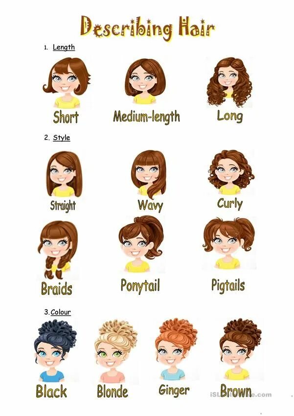 Названия женских причесок на английском Hair description Hair color, Hair pictures, Vocabulary