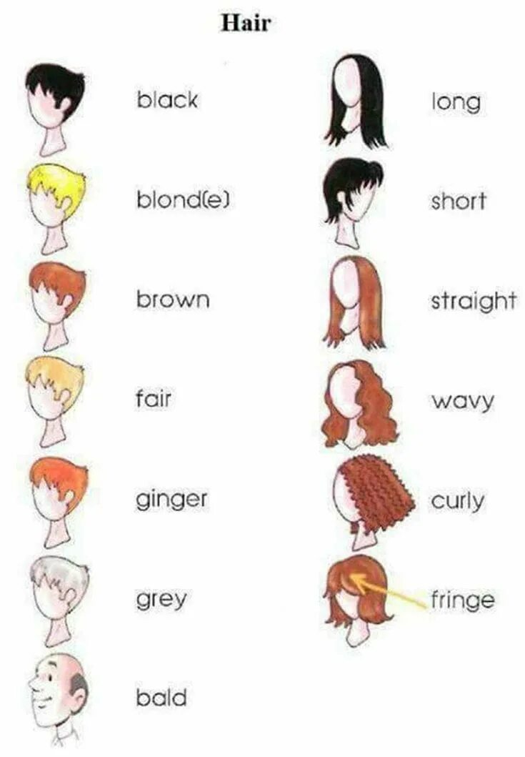 Названия женских причесок на английском How to Describe a Person's Appearance in English English vocabulary, Learn engli