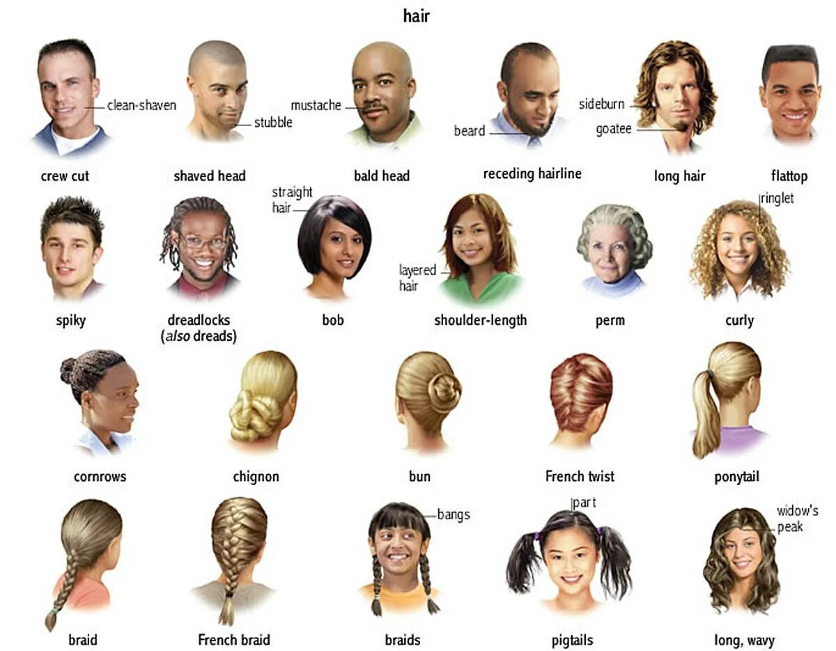 Названия женских причесок на английском Картинки DESCRIBE THEIR APPEARANCE