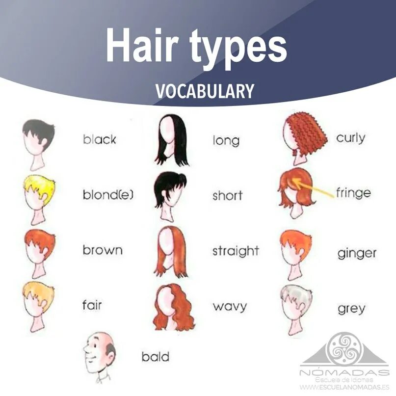 Названия женских причесок на английском CEPT Practice: Boost your vocabulary about hair