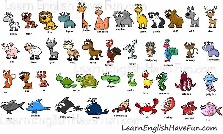 Названия животных на английском картинки ANIMALS Vocabulary, Learn english, Animals name in english