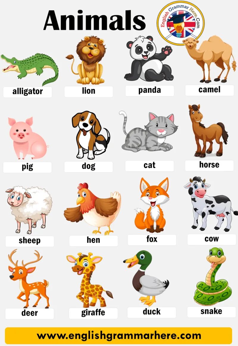 Названия животных на английском картинки Animal Names, List of Animals in English Table of Contents ANIMALS IN ENGLISHDom