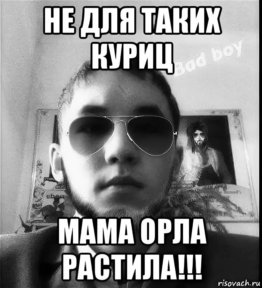 Не для куриц мама орла растила фото не для таких куриц мама орла растила!!!, Мем Орел - Рисовач .Ру