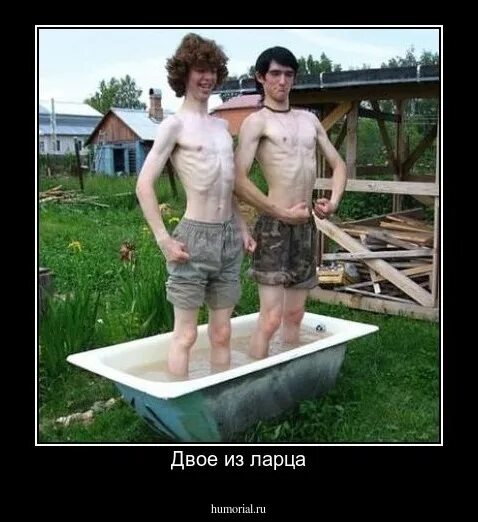 Не для куриц орла растила фото Двое из ларца