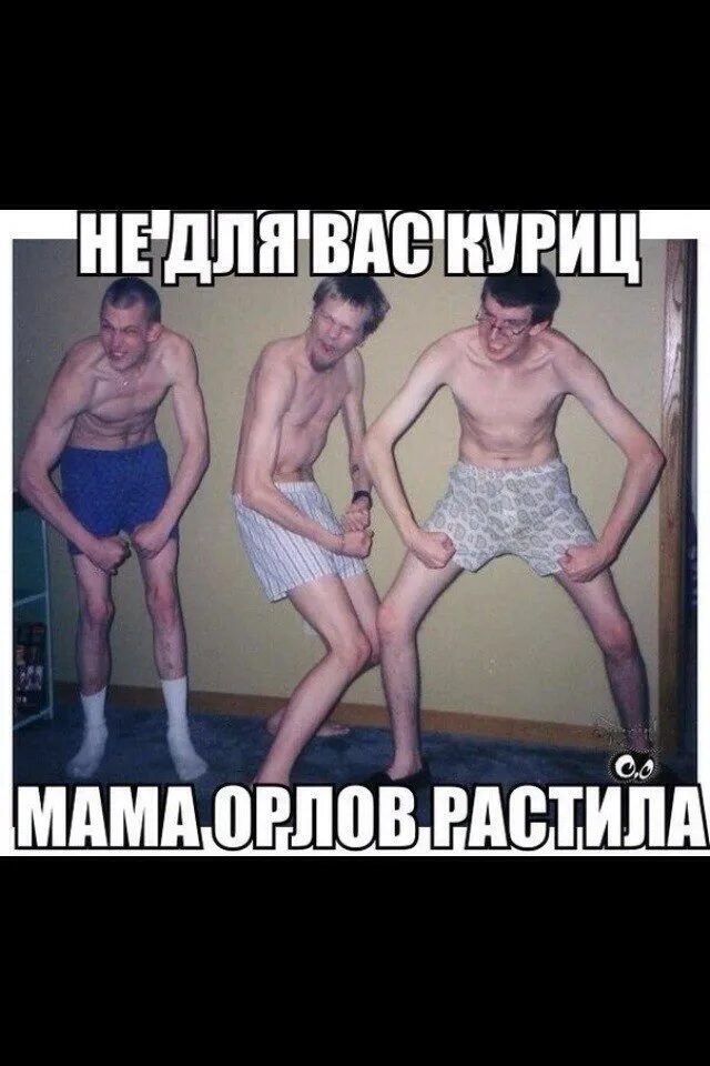Не для куриц орла растила фото Любила растила