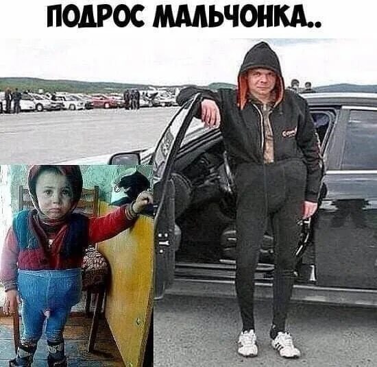 Не для куриц орла растила фото Pin von сергей денисов auf политика юмор Lustig, Lustige bilder, Witzig