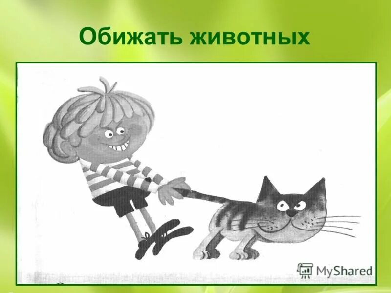 Не обижайте животных картинки Дети обижают животных