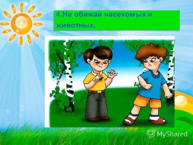 Не обижайте животных картинки Ознакомление с окружающим "Прогулка по лесу" - дошкольное образование, презентац