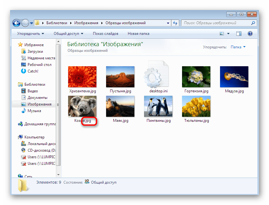 Не открываются фото windows 7 Картинка не открывается на компьютере: Не открываются фотографии на windows 10! 