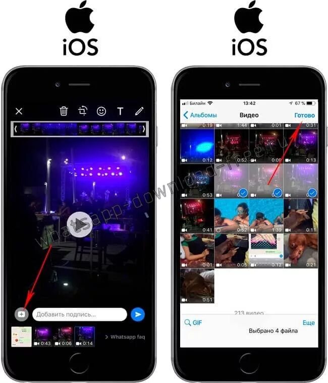 Не отправляется фото айфон Как отправить видео по WhatsApp?