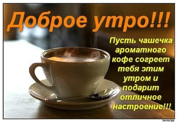 Не отправляйте картинки доброе утро Ответы Mail.ru: После каких слов приступают к делу? С добрым утром!
