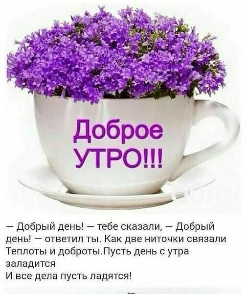 Не отправляйте картинки доброе утро Pin by Lina on Доброе утро, вечер и день Good morning greetings, Good morning wi