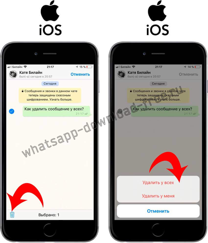 Не отправляются фото в ватсап на айфоне Как удалить прочитанное сообщение в whatsapp