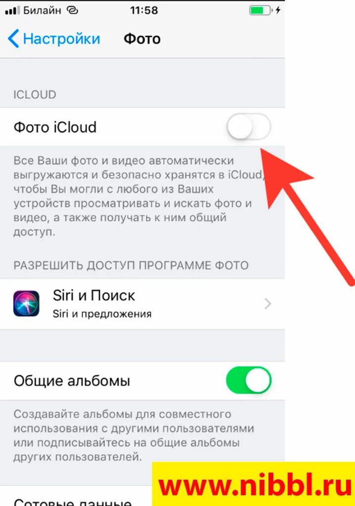 Не перекидываются фото с айфона ✅ Решено: Как перенести фотографии с компьютера на iPhone ⭐ на windows через iTu