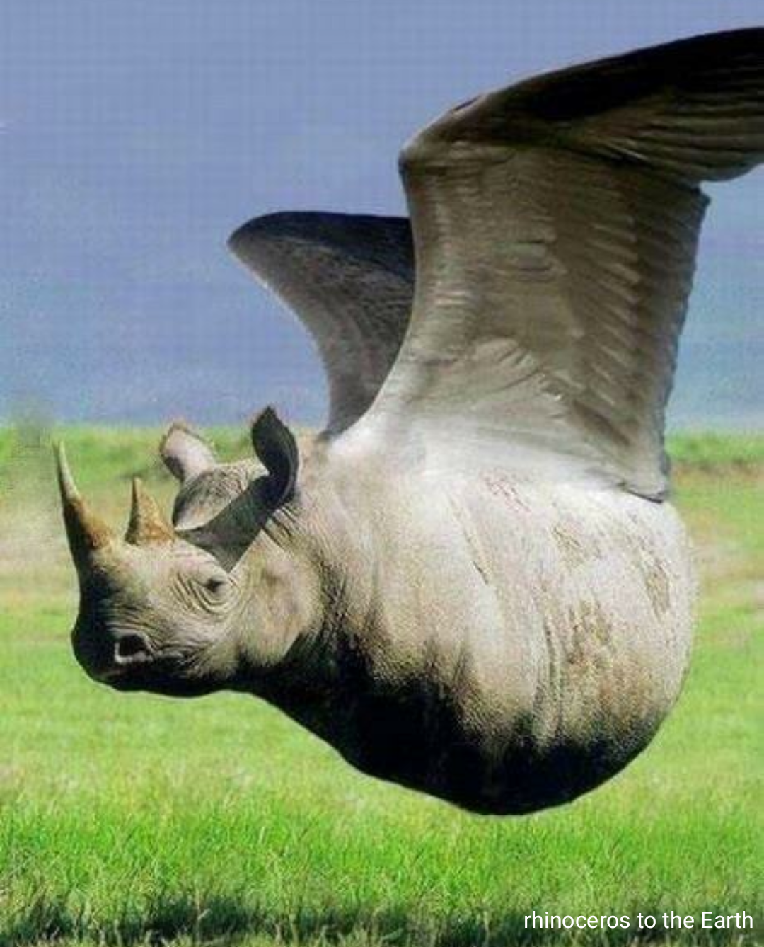 Не существует животные картинки Сообщество Steam :: :: rhinoceros to the Earth