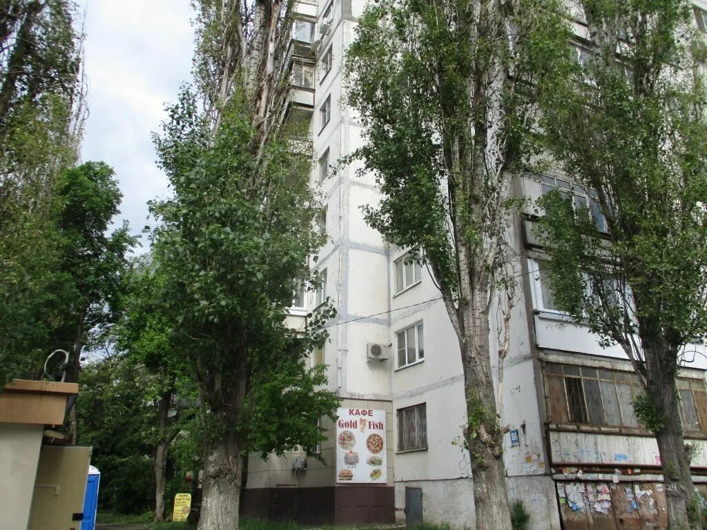 Не трава ул хользунова 88в фото Купить 3-комнатную квартиру, 63 м² по адресу Воронеж, улица Хользунова, 88, 9 эт