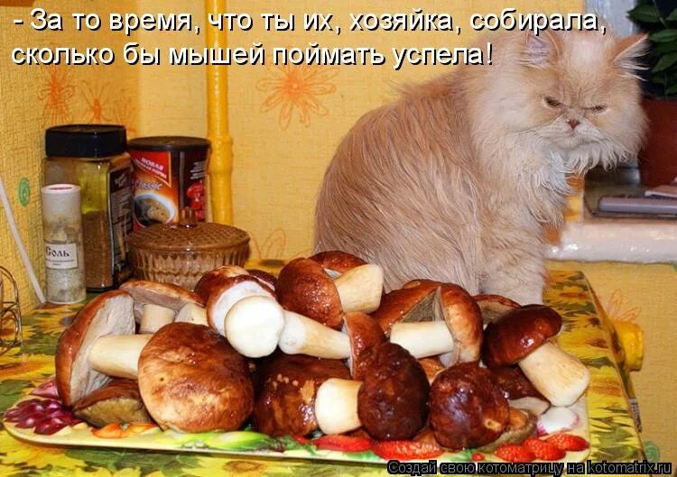 Не выкладывайте такие фото Ответы Mail.ru: А я в эти выходные пойду искать белую полосу в своей беспросветн