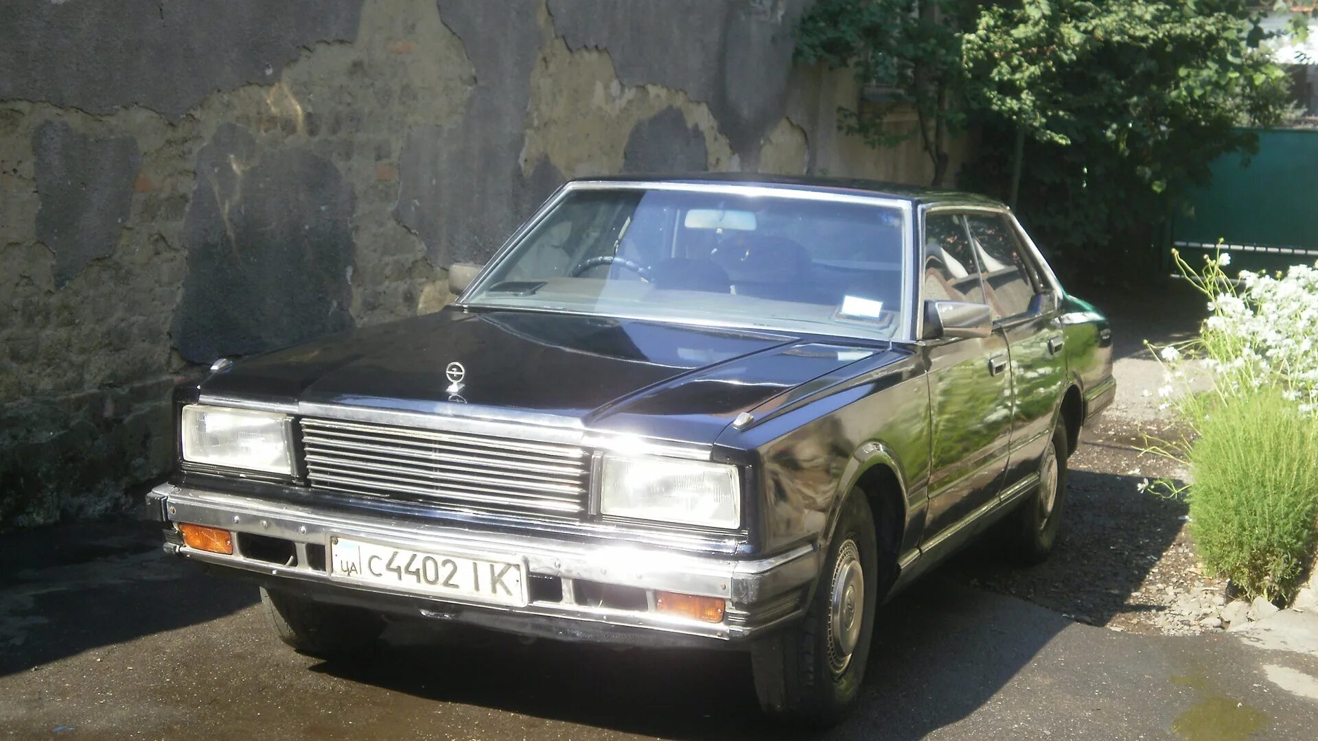 Ниссан глория 1983 фото Nissan Gloria (6G) 2.0 бензиновый 1979 Y430 на DRIVE2