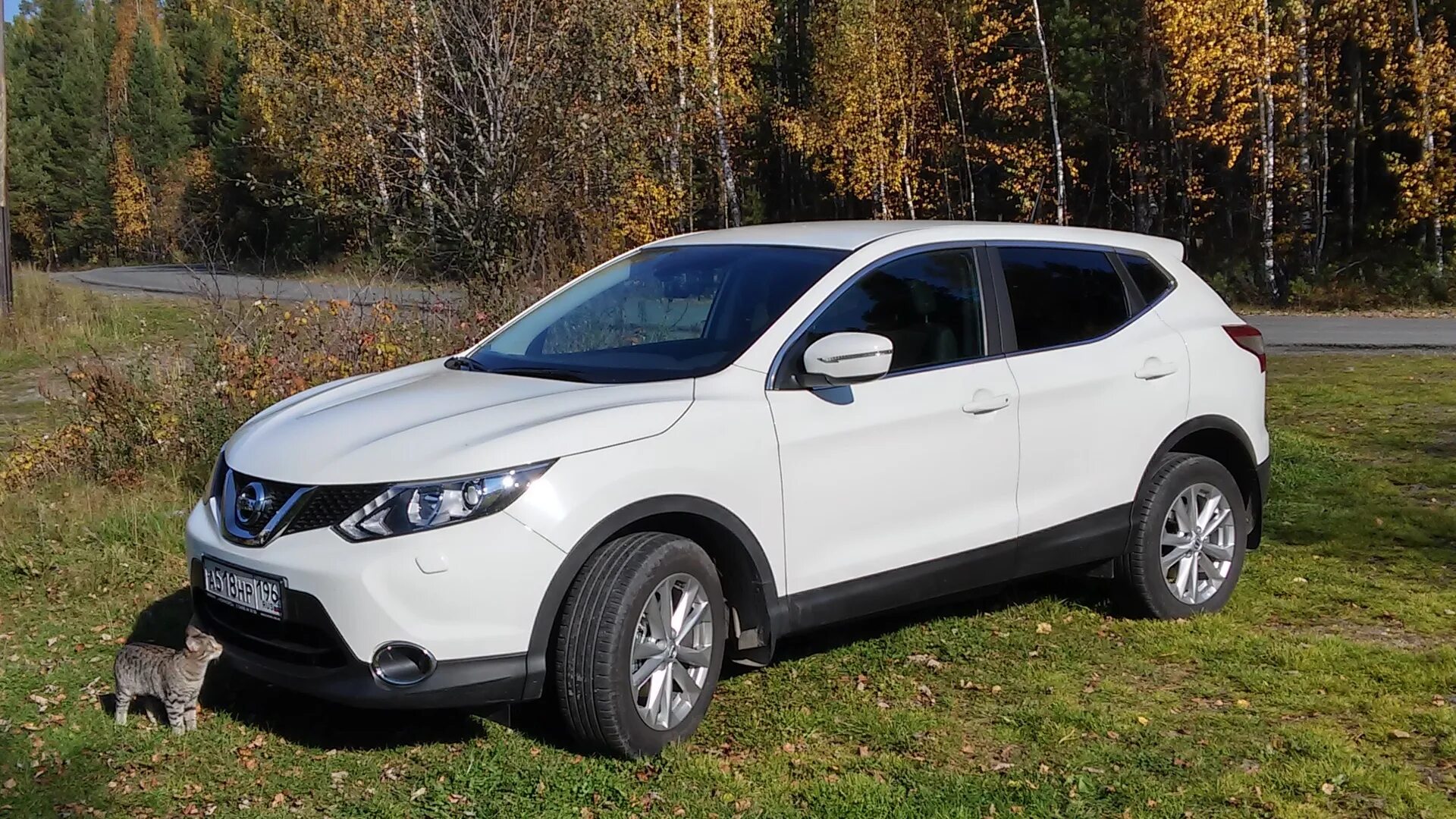 Ниссан кашкай джи 11 фото Nissan Qashqai (2G) 2.0 бензиновый 2014 J11 RICHARD ❄ на DRIVE2