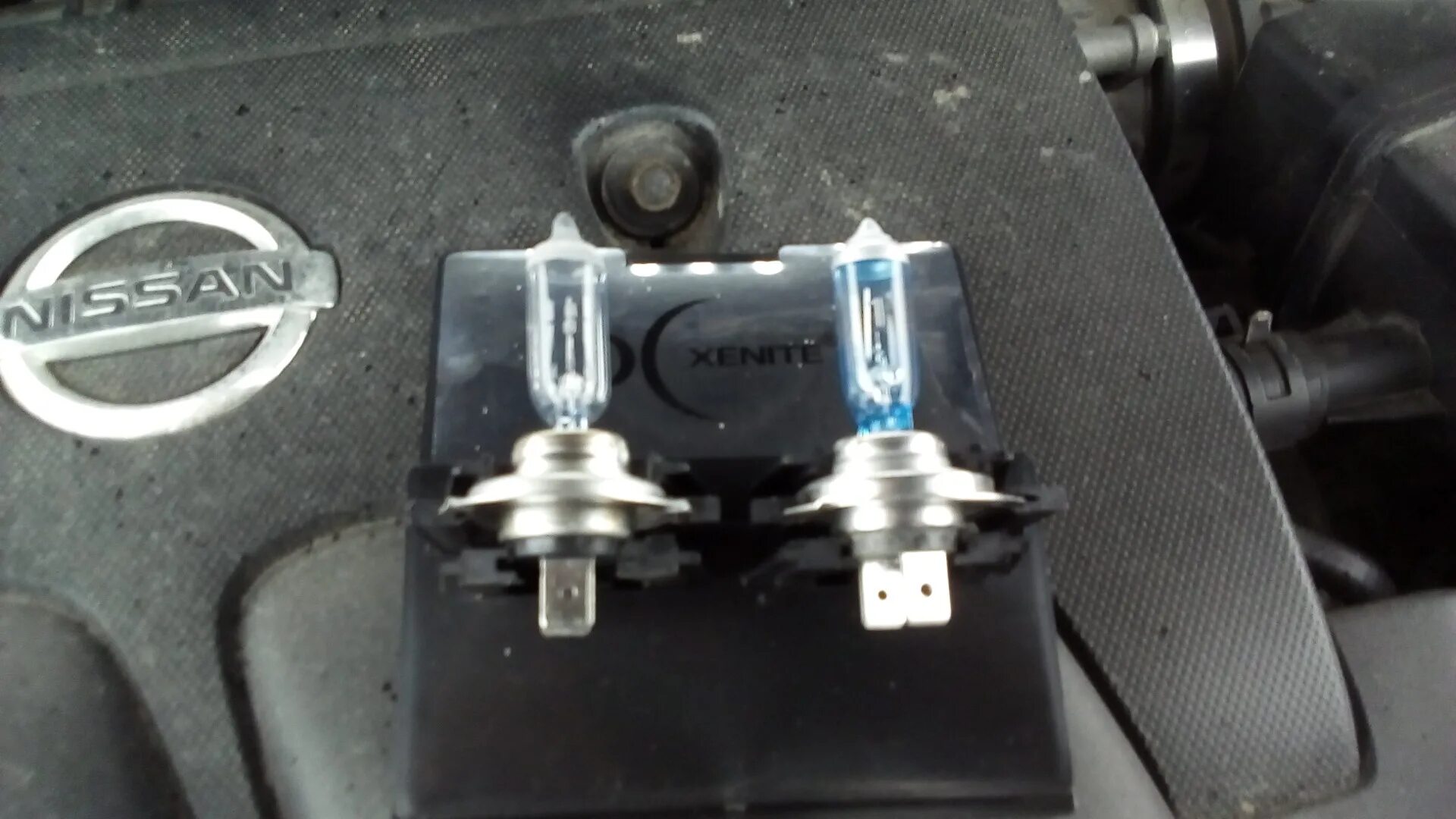 Ниссан кашкай j10 подключение лампы ближнего света Очередная замена ламп ближнего света. - Nissan Qashqai+2, 2 л, 2012 года расходн