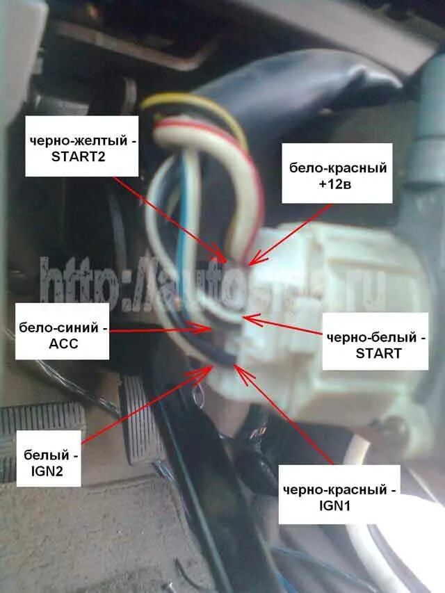 Ниссан куб точки подключения Точки подключения автосигнализации на Nissan Bluebird