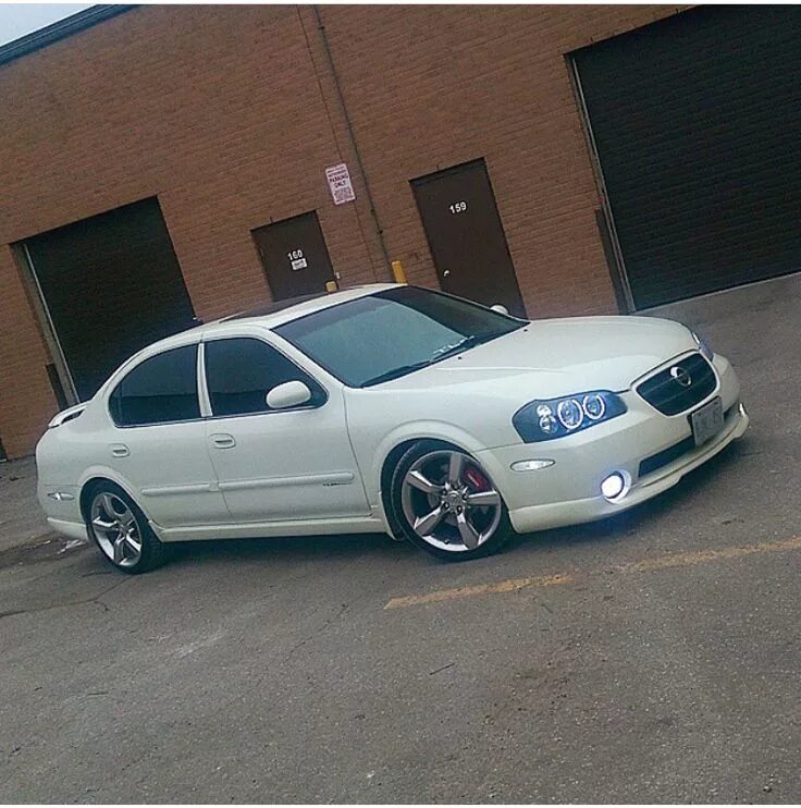 Ниссан максима а33 тюнинг фото Pin by cameron tanner on max Nissan maxima, 2006 nissan maxima, Nissan sentra