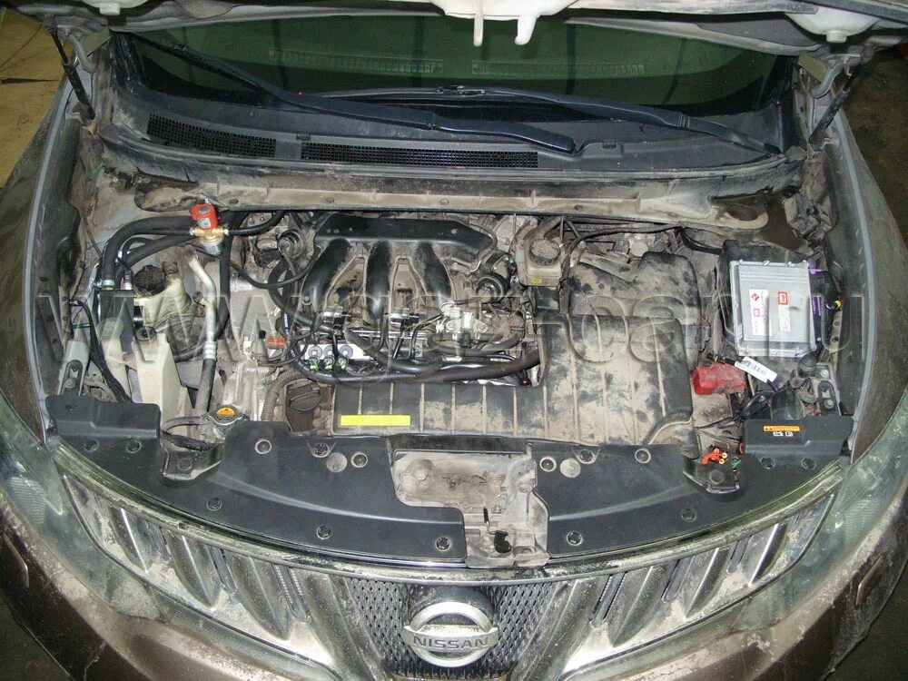Ниссан мурано фото под капотом Установка ГБО на Nissan Murano Z51 3.5 V6 265 Hp. Цена установки газобаллонного 