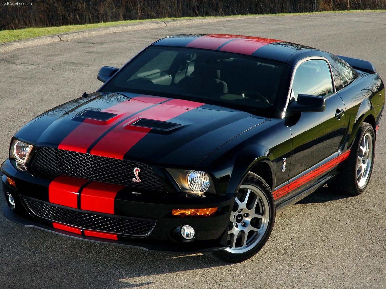 Ниссан мустанг фото Image �: Photogallery Ford Mustang GT500 Shelby - Auto DZ Mustang shelby, Ford m
