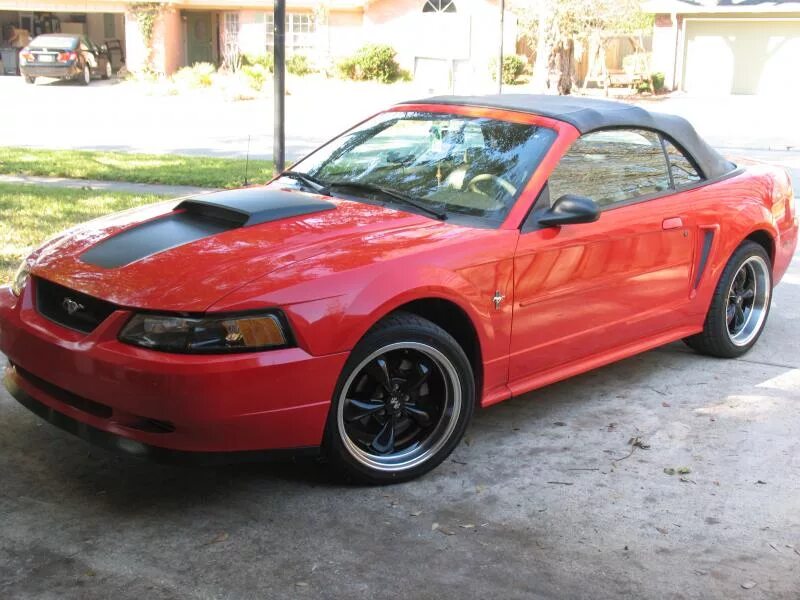 Ниссан мустанг фото Nissan 370Z Forum - bdavis89's Album: 2001 Ford Mustang Vert - Picture