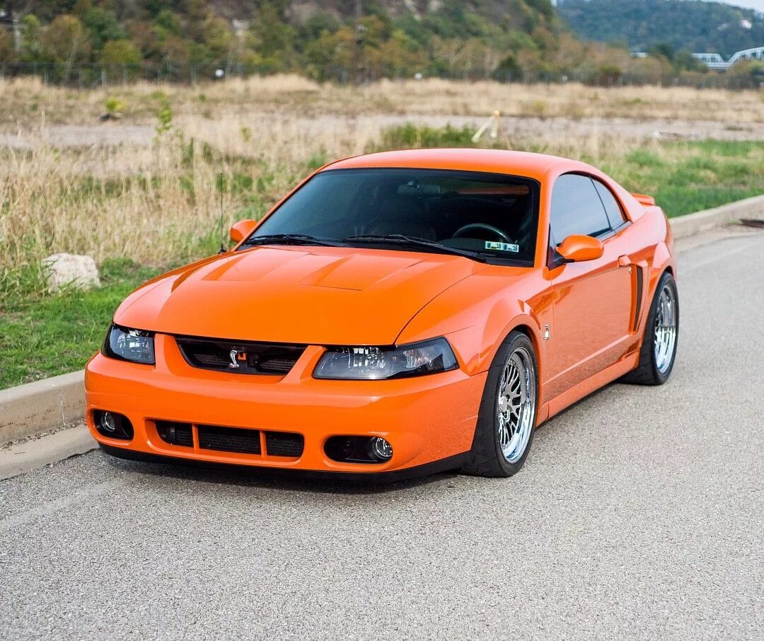 Ниссан мустанг фото Mustang Mustang cars, Mustang shelby cobra, Ford mustang cobra