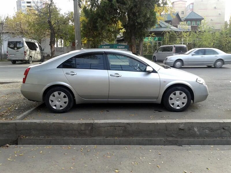 Ниссан п 12 фото Поменял диски - Nissan Primera (P12), 1,8 л, 2002 года колёсные диски DRIVE2