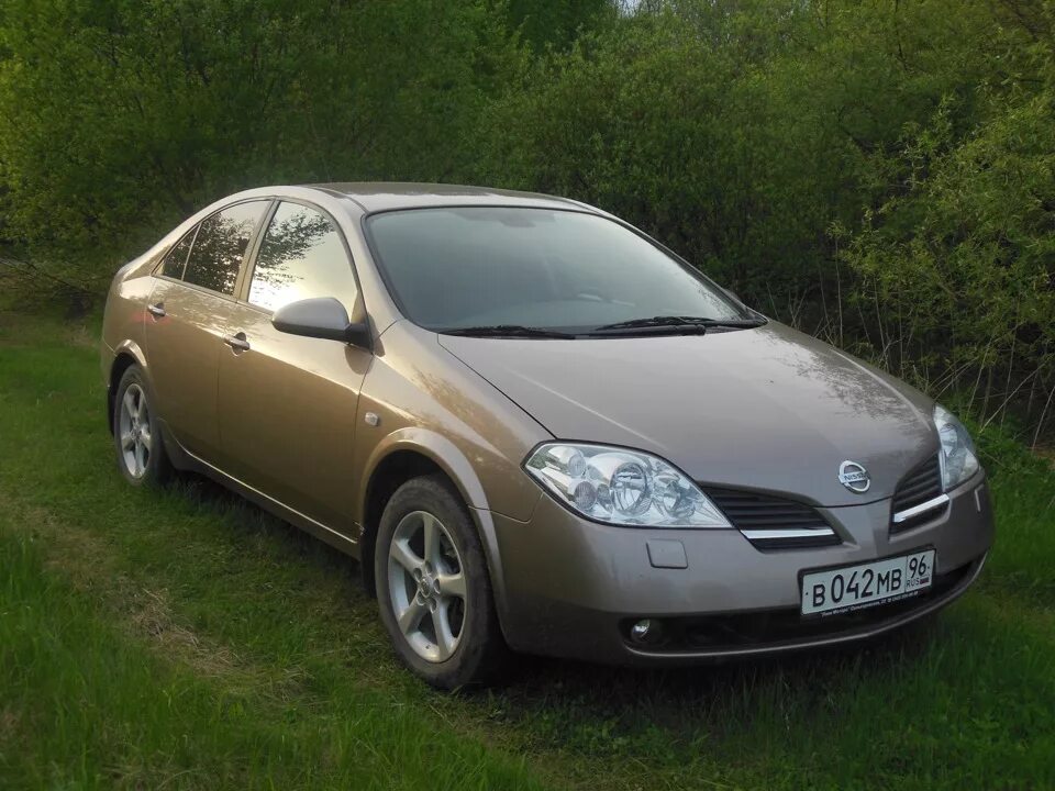 Ниссан п12 фото Природа) - Nissan Primera (P12), 1,6 л, 2006 года фотография DRIVE2