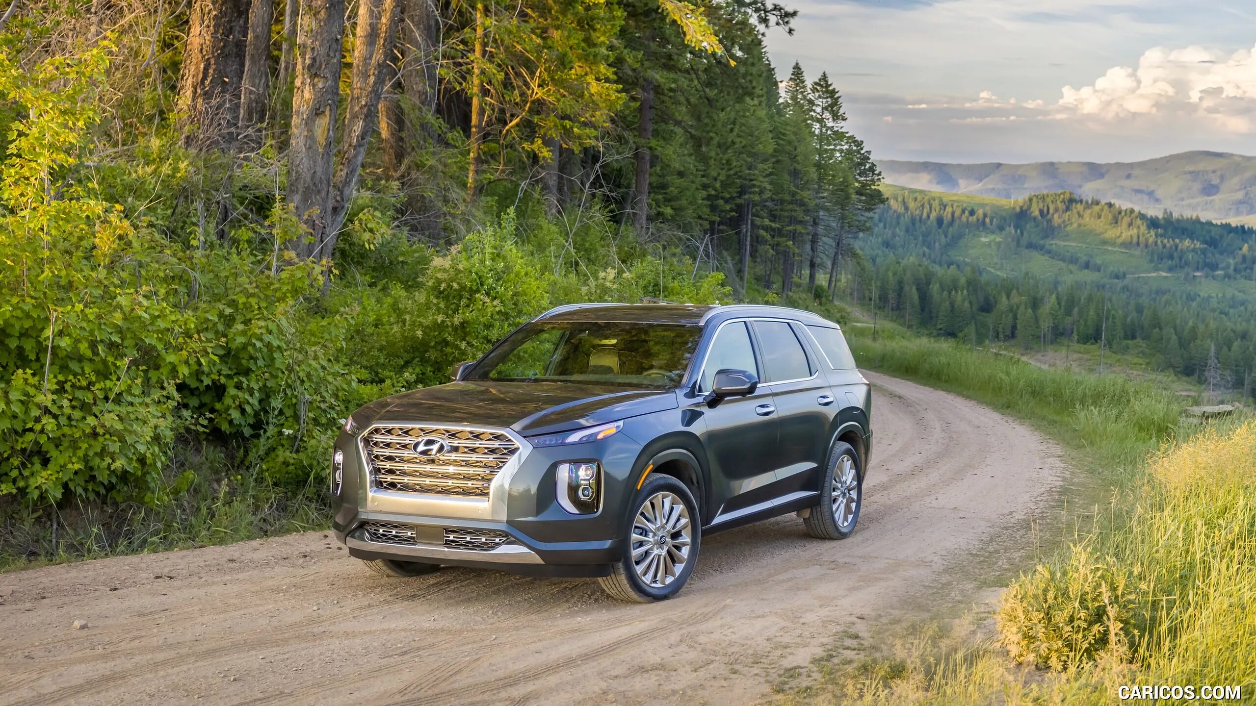 Ниссан палисад фото Hyundai Palisade 2020MY Front Three-Quarter