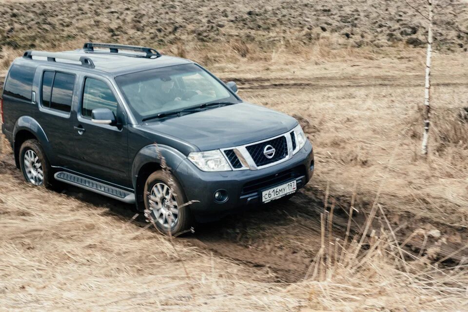 Ниссан патфайндер пикап фото Человек и следопыт. - Nissan Pathfinder (3G), 2,5 л, 2010 года фотография DRIVE2