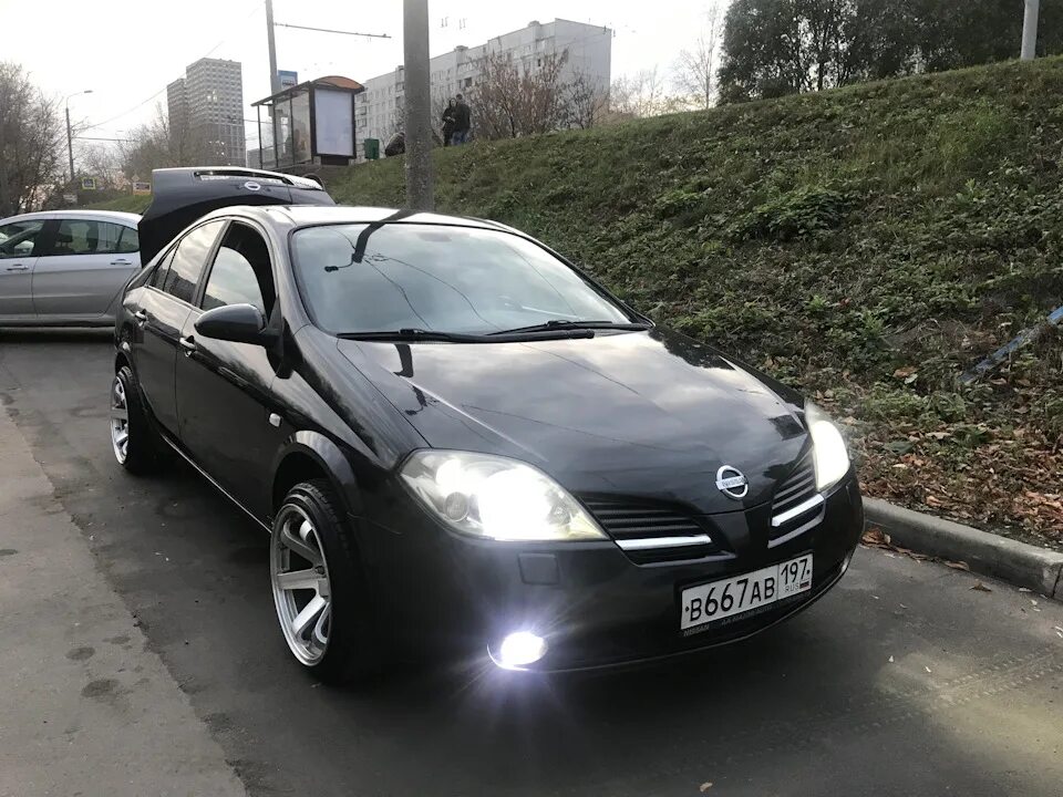 Ниссан примера 12 фото #6 led в фары и птф - Nissan Primera (P12), 1,8 л, 2004 года стайлинг DRIVE2