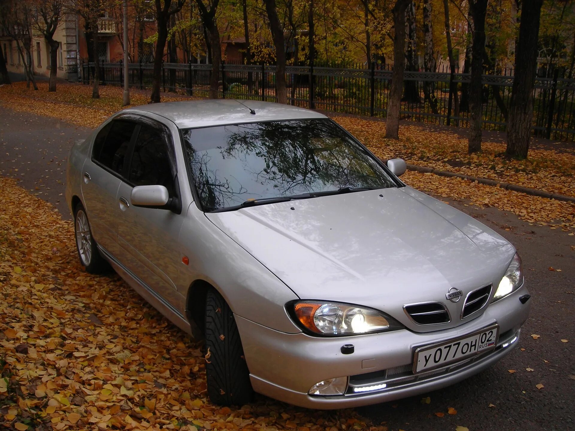 Ниссан примера 2000 года фото Осенние фото) - Nissan Primera (P11-144), 2 л, 2000 года фотография DRIVE2