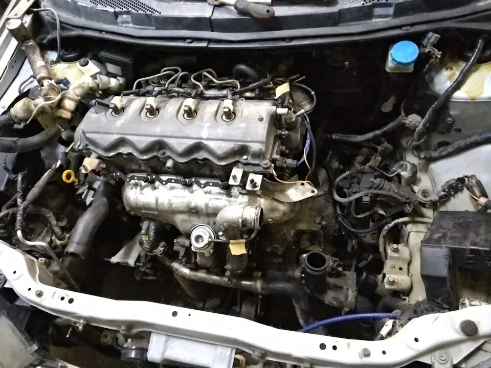 Ниссан примера двигатель фото Снимаем мотор YD22DTT и готовимся к ремонту - Nissan Primera Wagon (P12), 2,2 л,