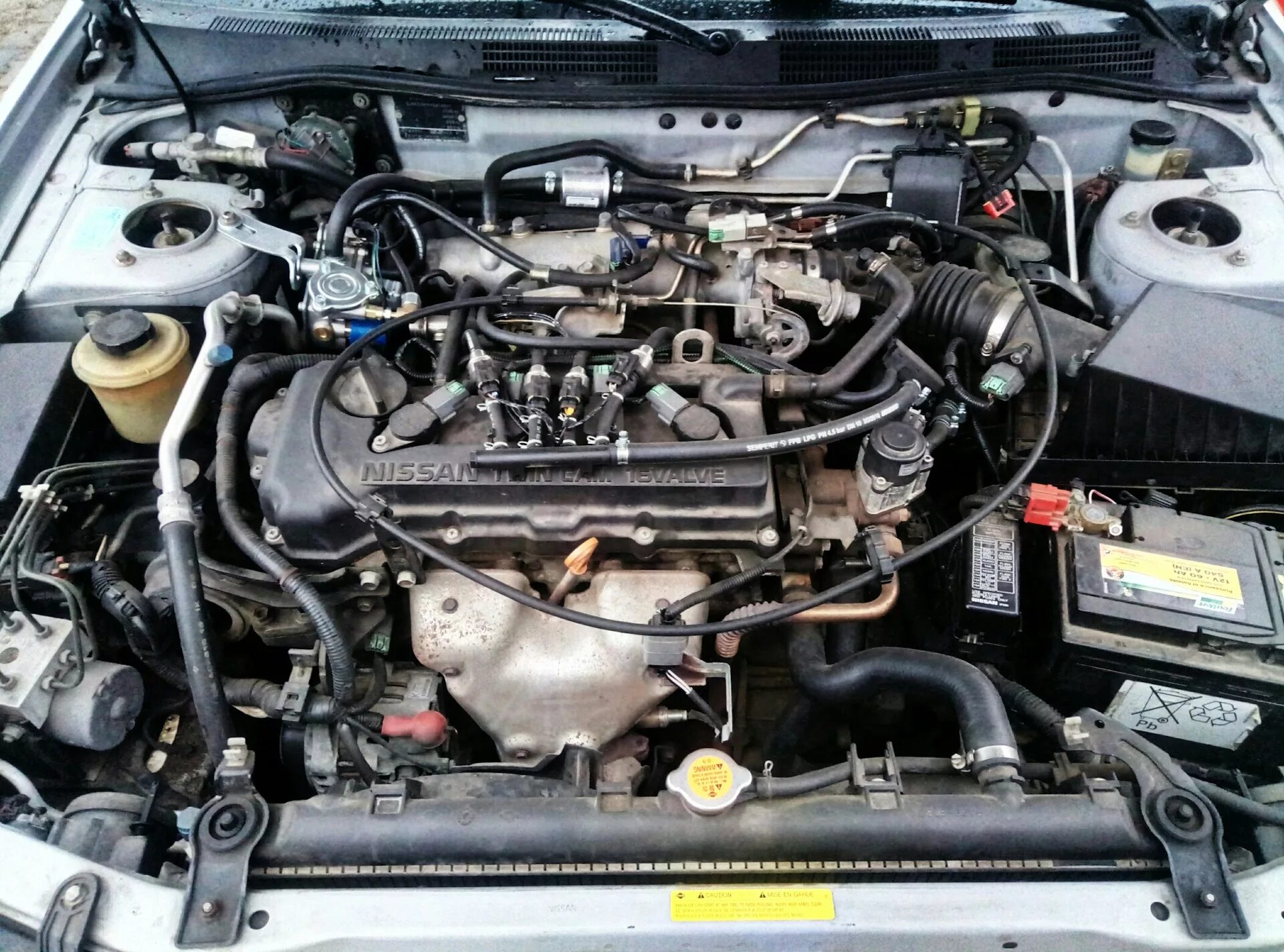 Ниссан примера двигатель фото ГБО - Nissan Primera (P11-144), 1,8 л, 2001 года запчасти DRIVE2