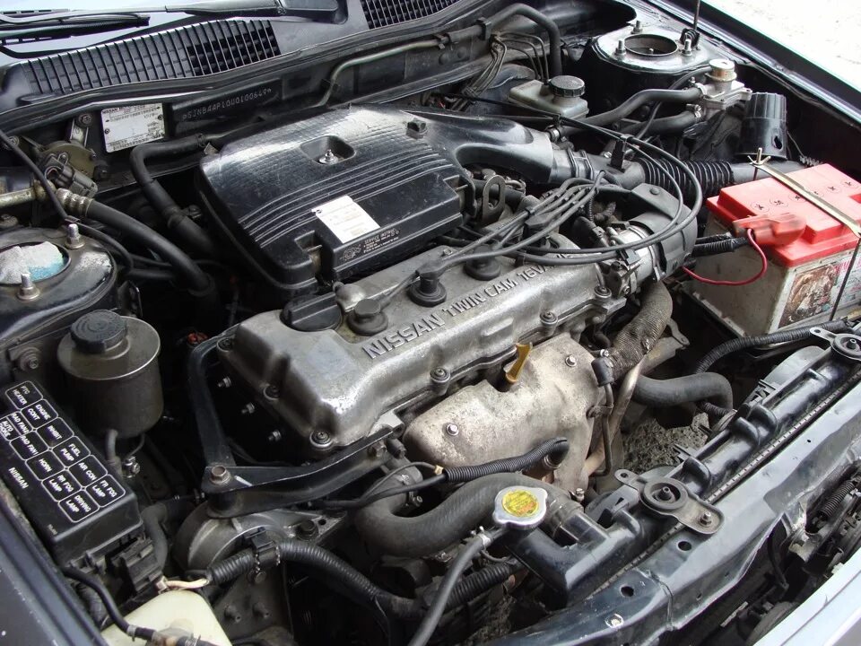 Ниссан примера двигатель фото Перебрали…Обкатываем) - Nissan Primera (P10), 1,6 л, 1991 года обкатка DRIVE2