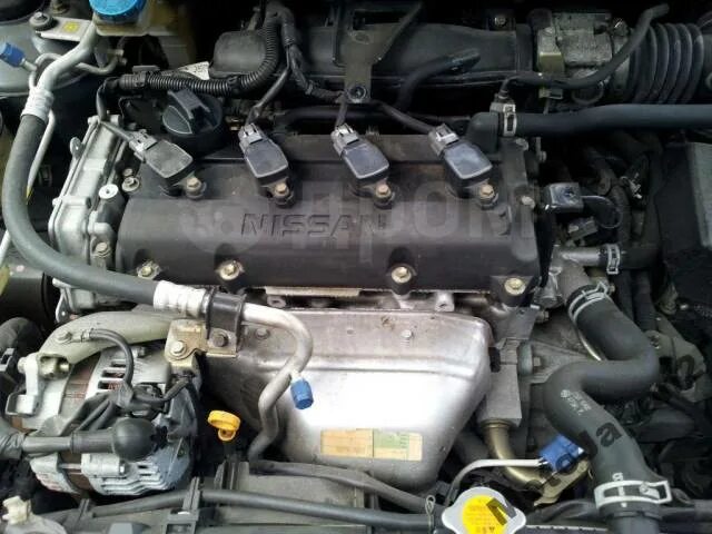 Ниссан примера двигатель фото Nissan Primera, 2002, QR20DE в Новосибирске